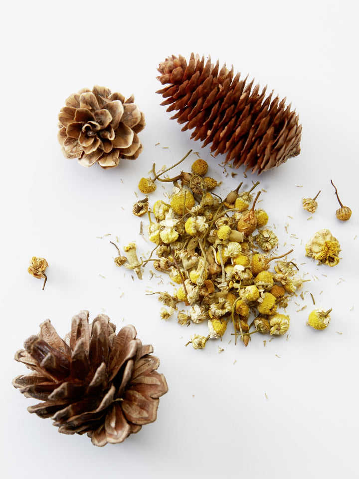 Chamomile Pine Ingredients X